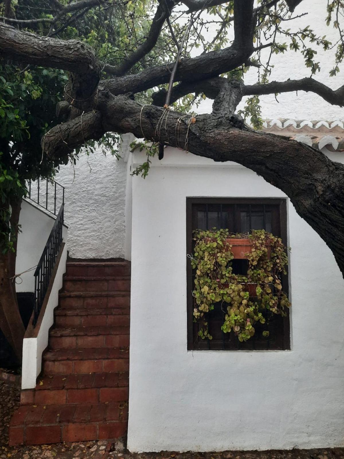 Hotel Rural Verde Oliva Comares Szoba fotó