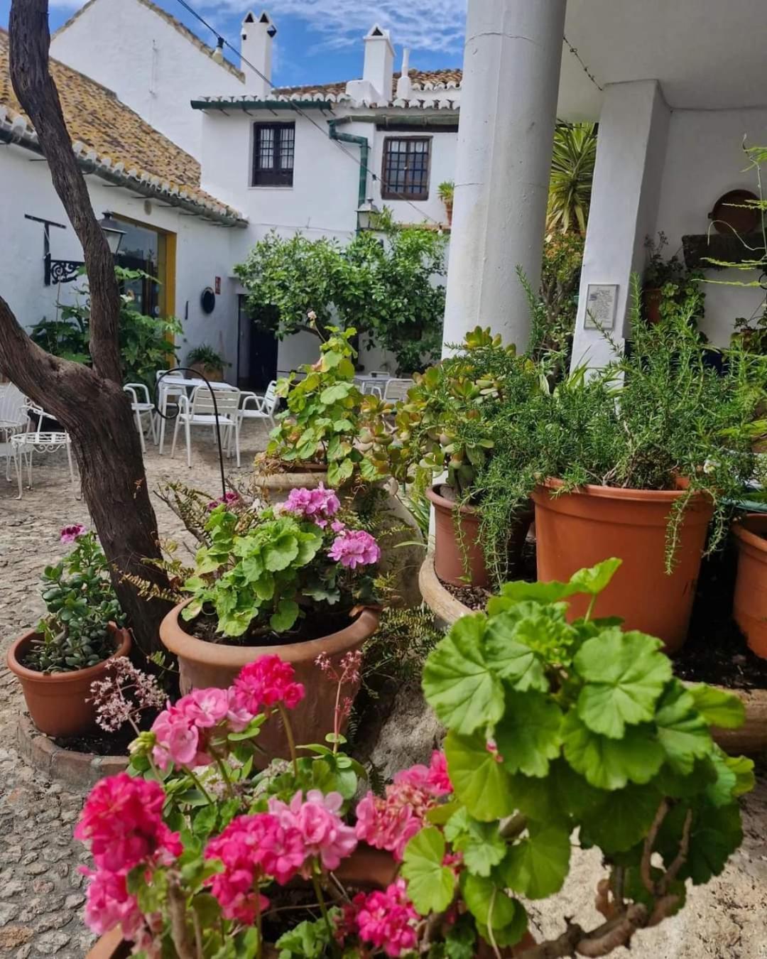 Hotel Rural Verde Oliva Comares Kültér fotó